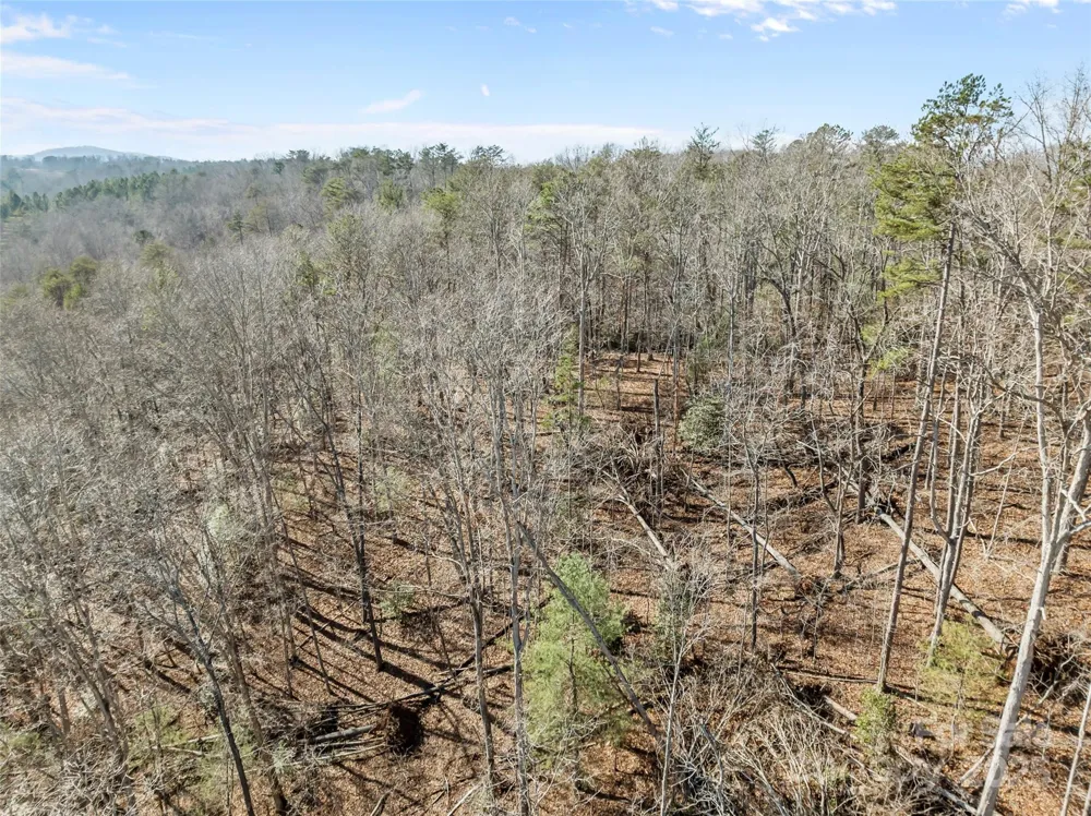 0 Darrow Drive #Lot 97 Nebo, NC 28761
