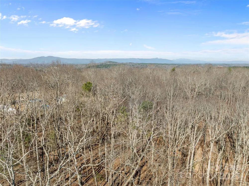 0 Darrow Drive #Lot 97 Nebo, NC 28761