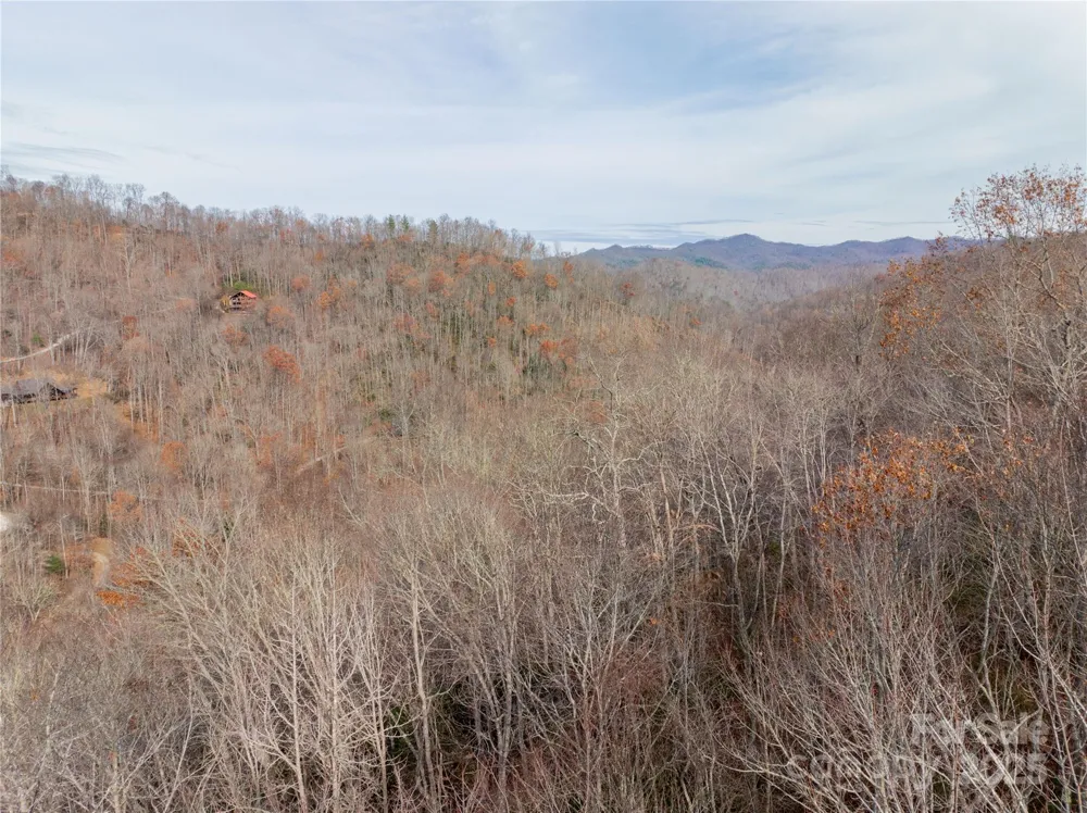 Lot 5 Mt Tabor Road Topton, NC 28781