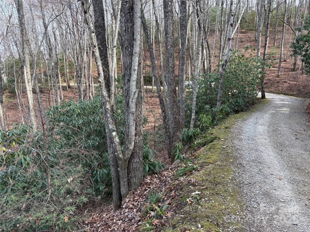 Lot 5 Mt Tabor Road Topton, NC 28781