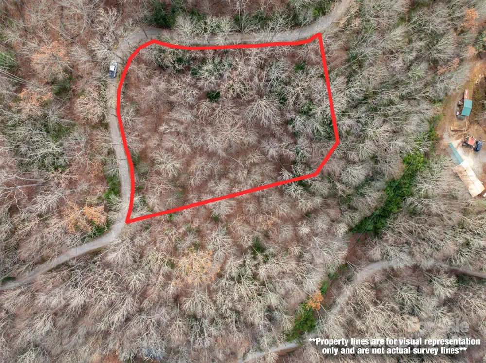 Lot 5 Mt Tabor Road Topton, NC 28781