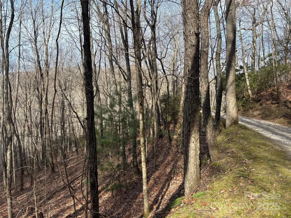 Lot 5 Mt Tabor Road Topton, NC 28781