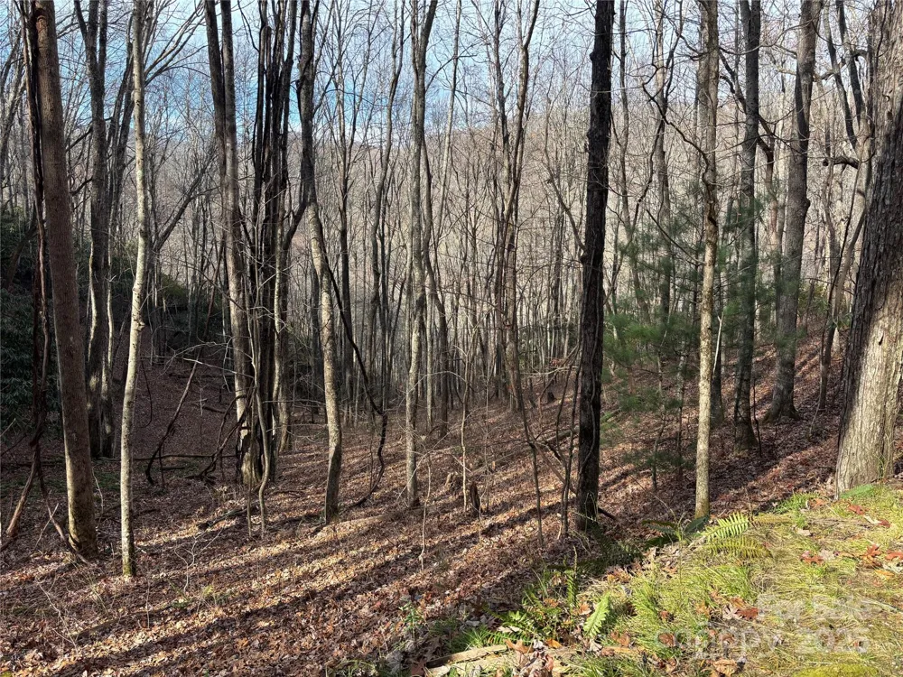 Lot 5 Mt Tabor Road Topton, NC 28781