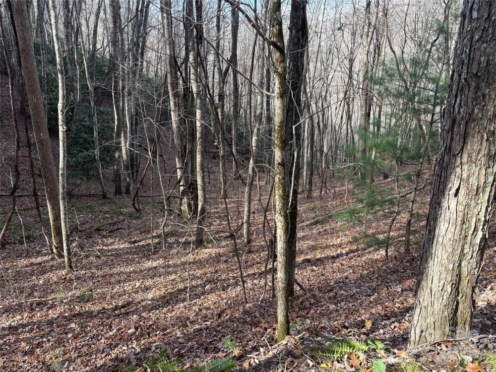 Lot 5 Mt Tabor Road Topton, NC 28781