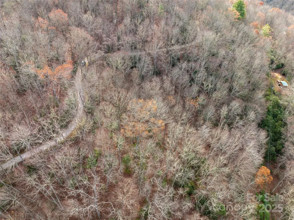 Lot 5 Mt Tabor Road Topton, NC 28781