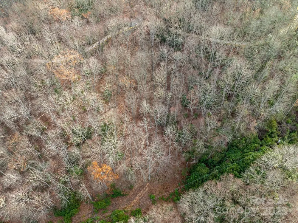 Lot 5 Mt Tabor Road Topton, NC 28781