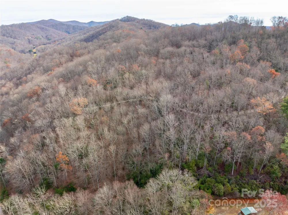 Lot 5 Mt Tabor Road Topton, NC 28781