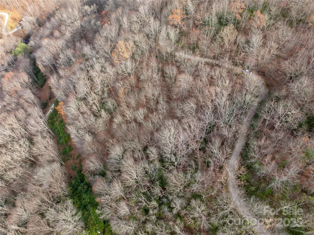 Lot 5 Mt Tabor Road Topton, NC 28781