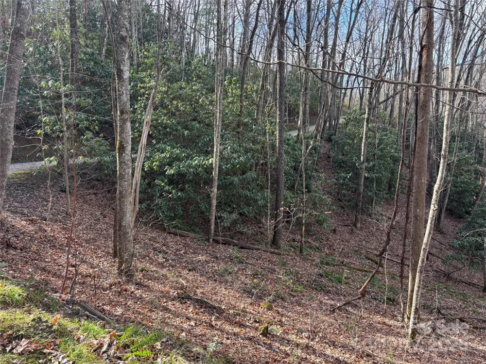 Lot 5 Mt Tabor Road Topton, NC 28781