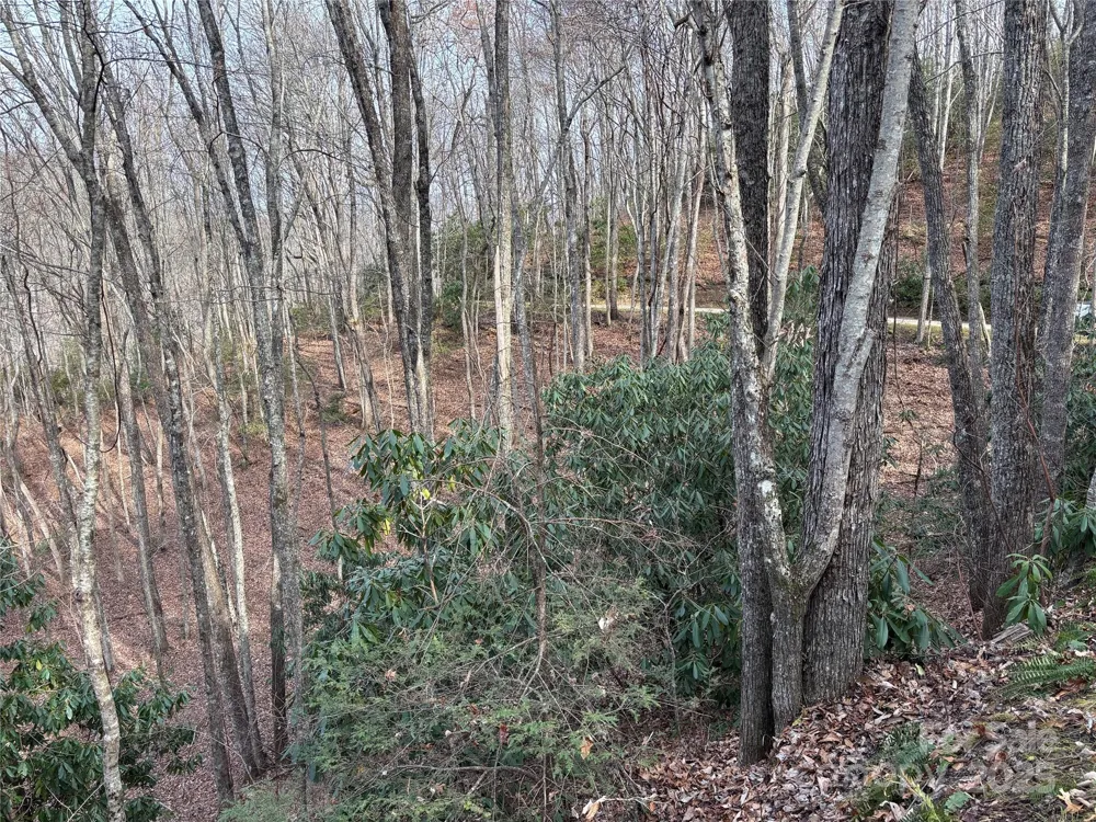 Lot 5 Mt Tabor Road Topton, NC 28781