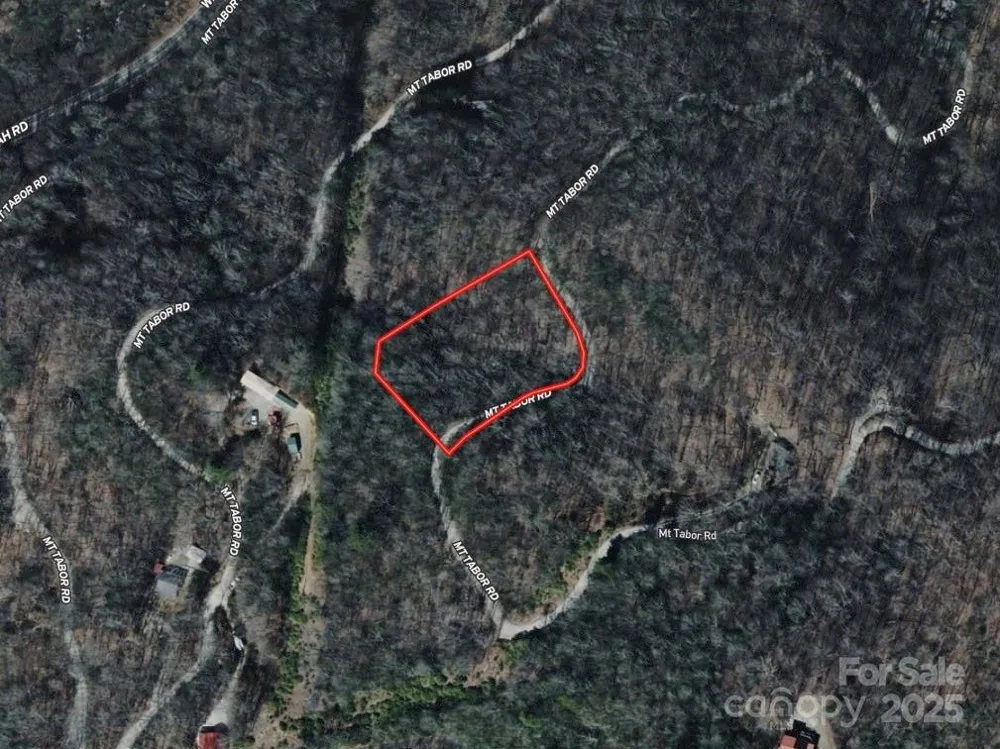 Lot 5 Mt Tabor Road Topton, NC 28781