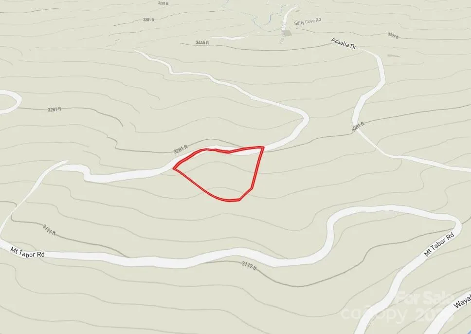 Lot 5 Mt Tabor Road Topton, NC 28781