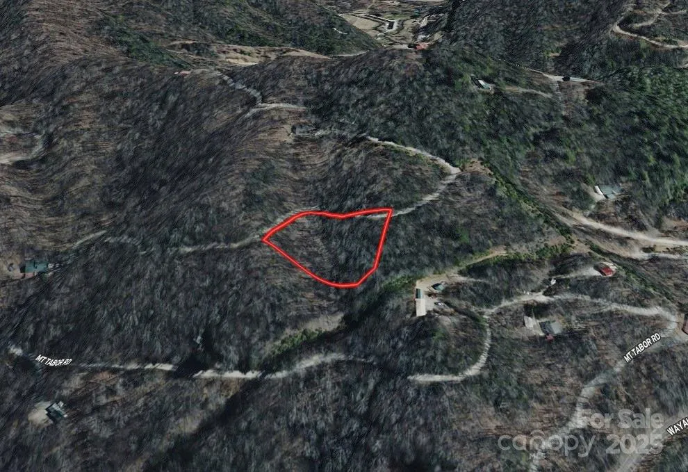 Lot 5 Mt Tabor Road Topton, NC 28781