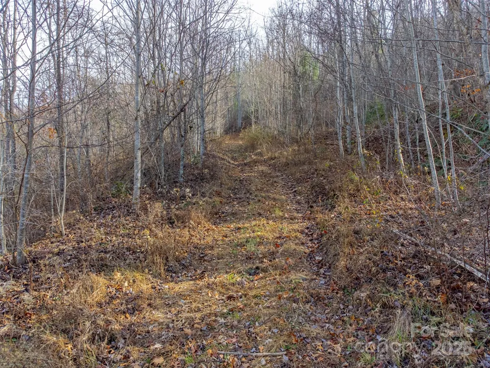 00 Garnet Road Sylva, NC 28779