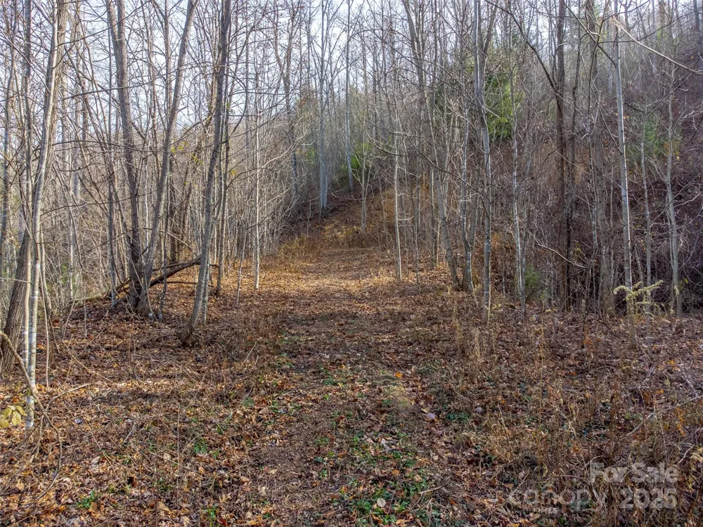 00 Garnet Road Sylva, NC 28779