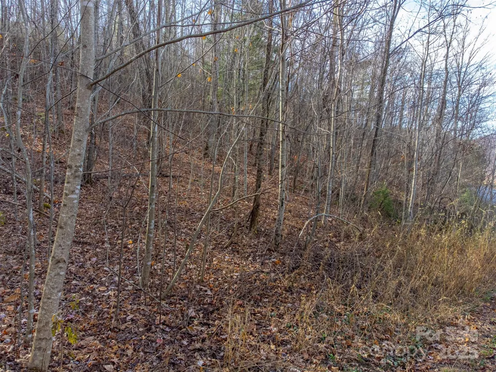 00 Garnet Road Sylva, NC 28779