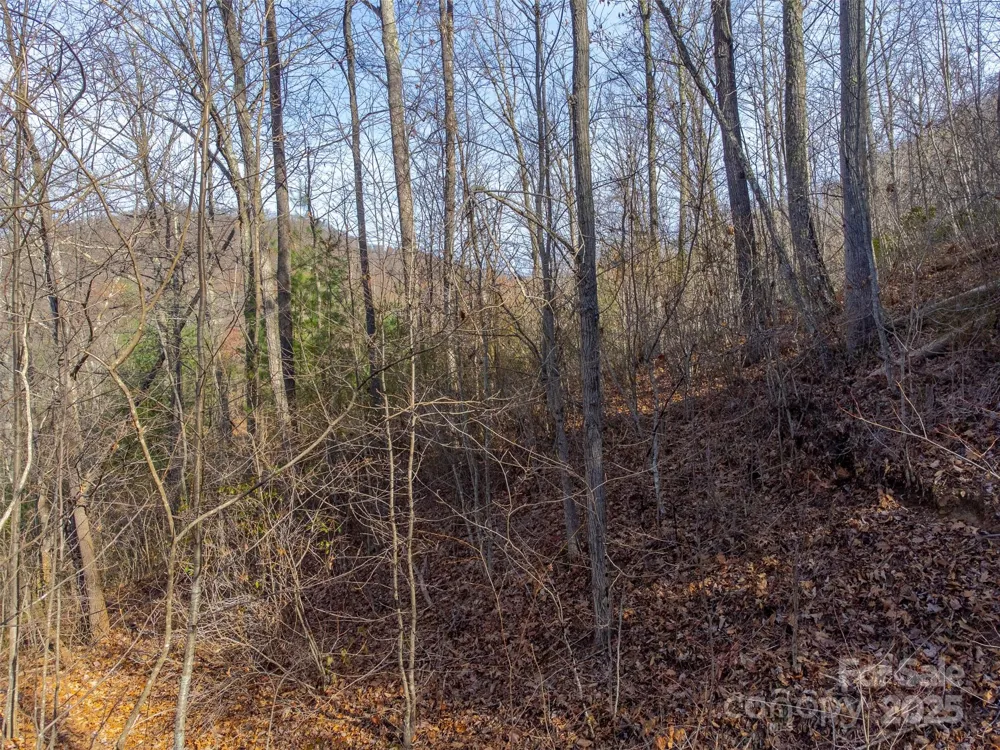 00 Garnet Road Sylva, NC 28779