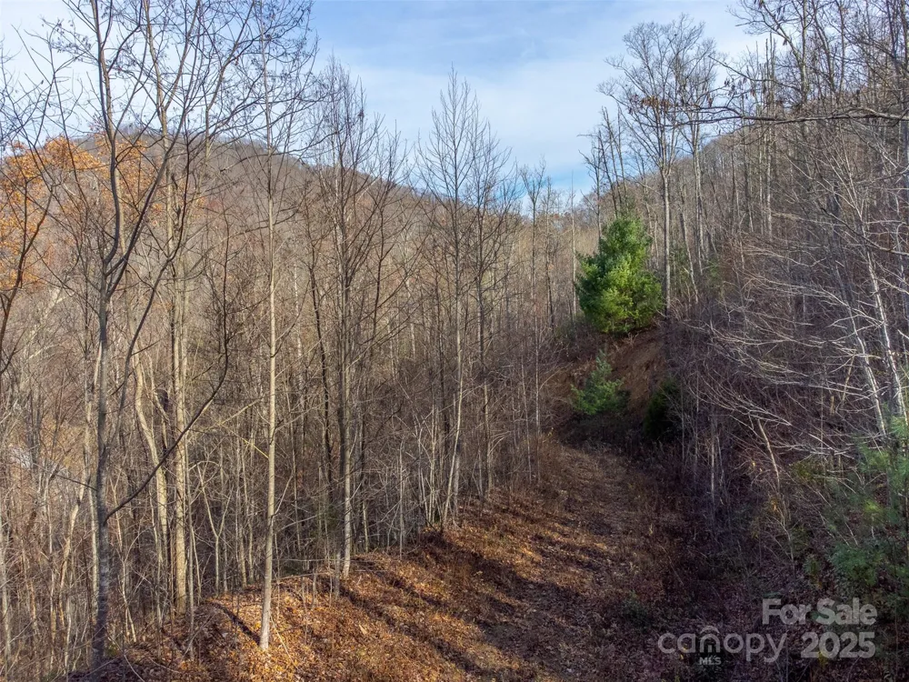 00 Garnet Road Sylva, NC 28779