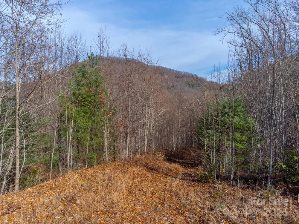00 Garnet Road Sylva, NC 28779