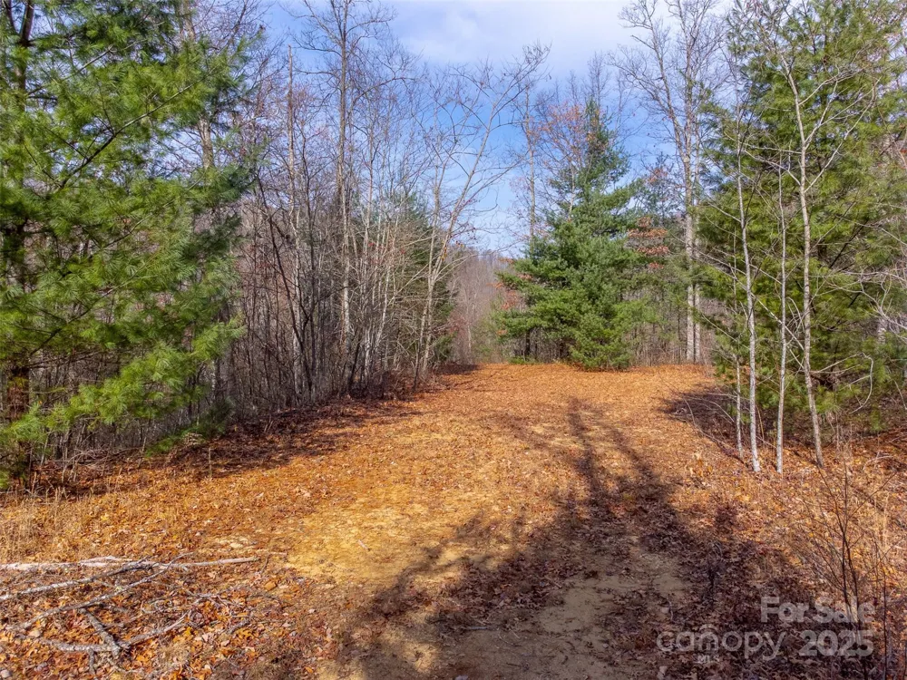 00 Garnet Road Sylva, NC 28779