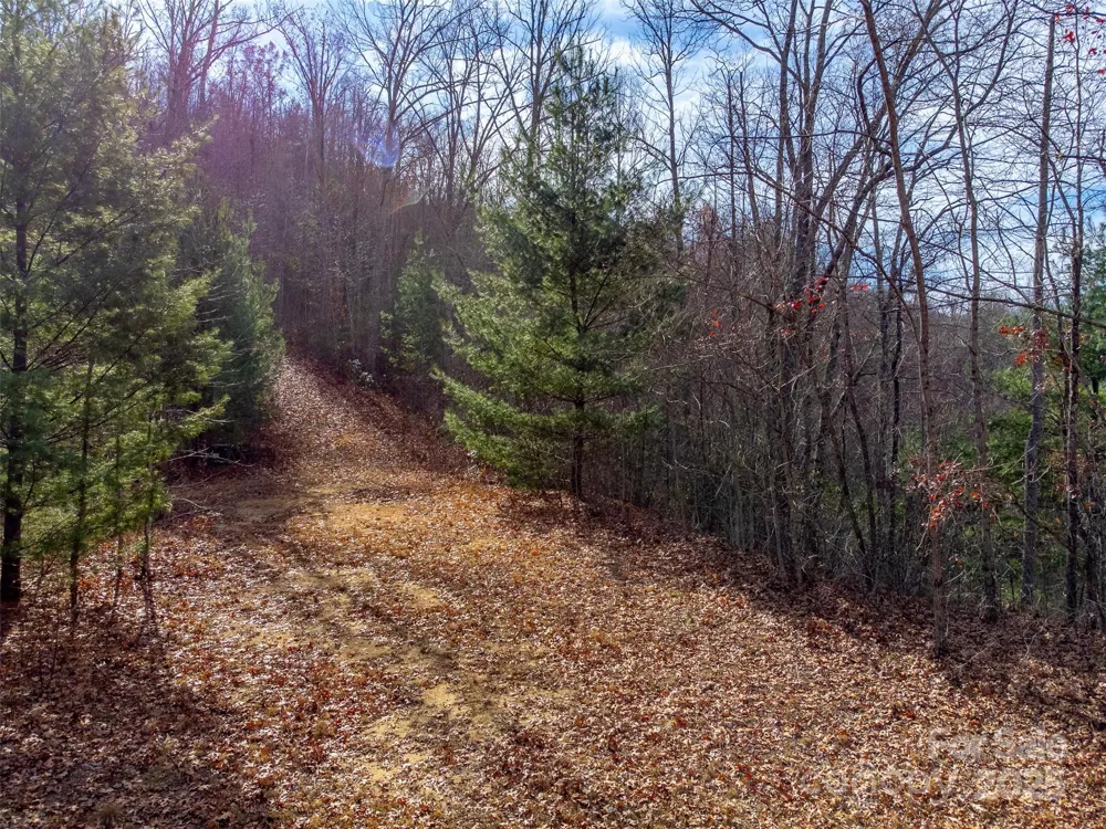 00 Garnet Road Sylva, NC 28779