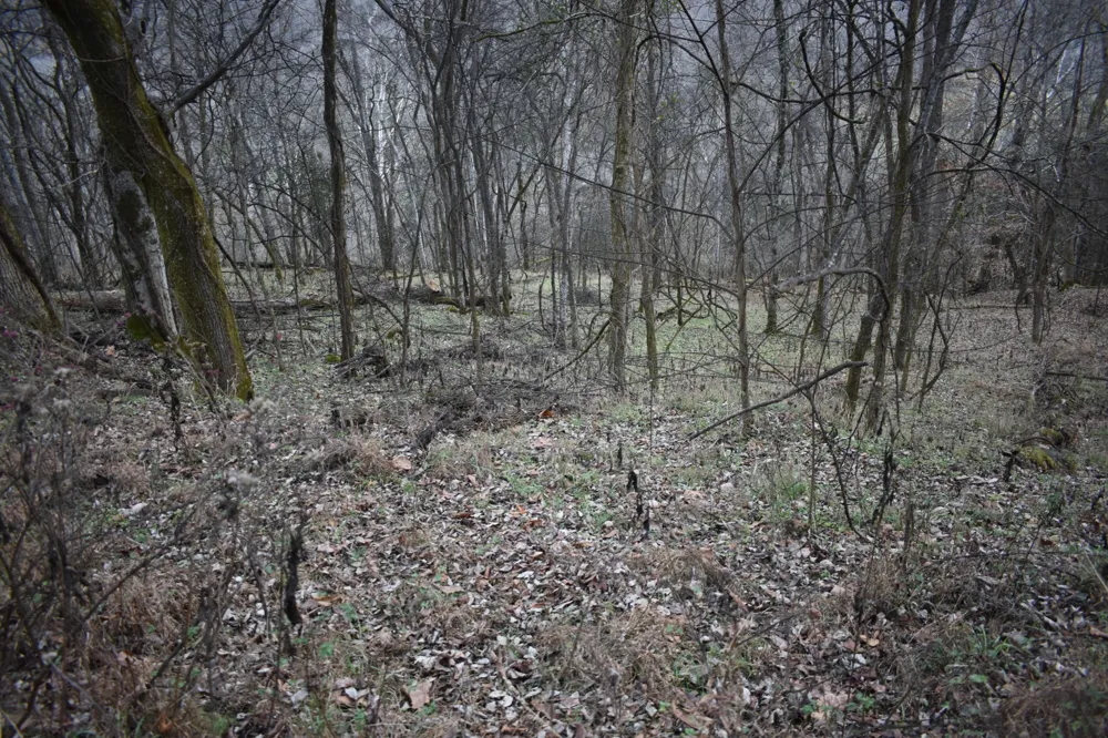 256 Maggart Rd Elmwood, TN 38560