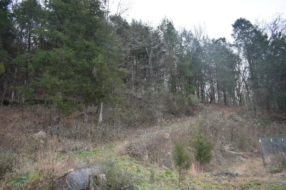 256 Maggart Rd Elmwood, TN 38560