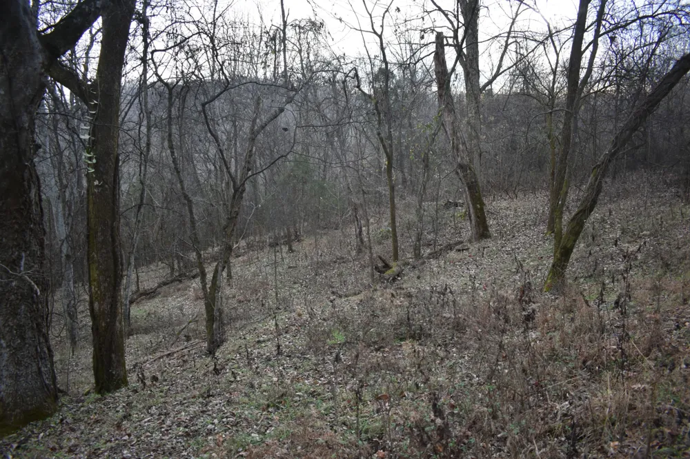 256 Maggart Rd Elmwood, TN 38560