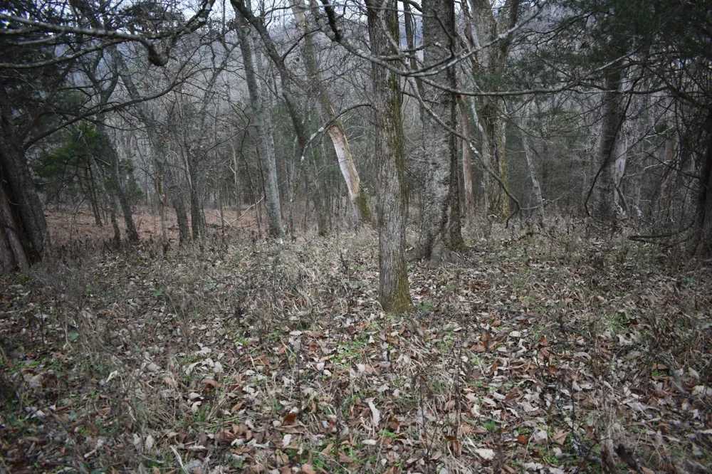 256 Maggart Rd Elmwood, TN 38560