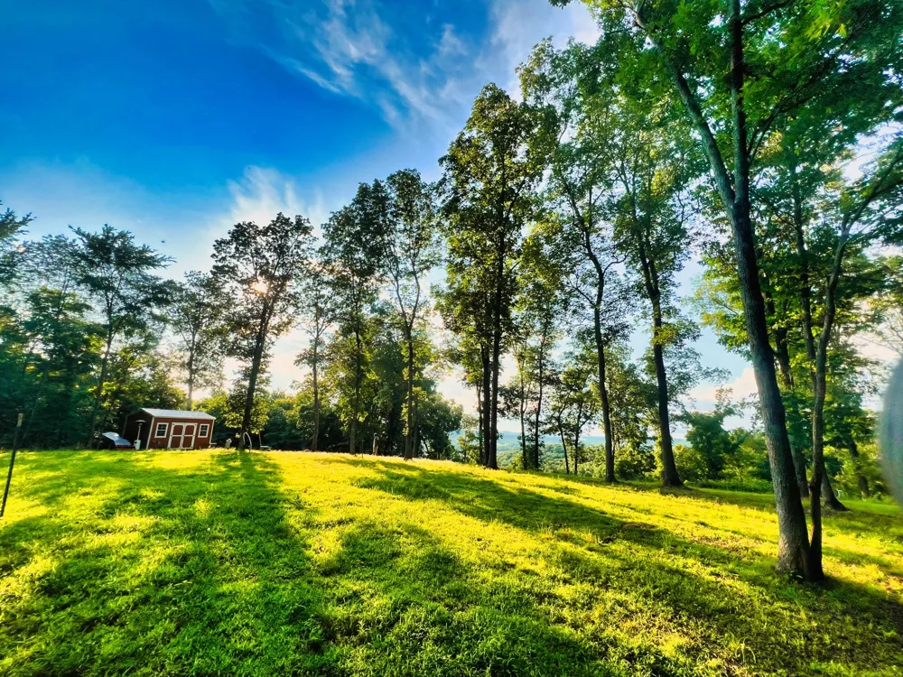 3202 Old Lego School Rd Linden, TN 37096