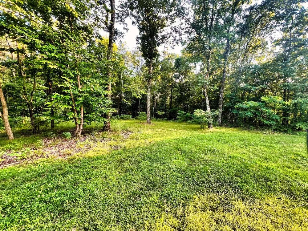 3202 Old Lego School Rd Linden, TN 37096