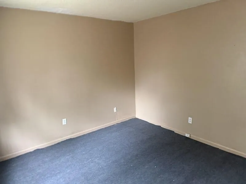 5273 FLOWERING PEACH DR #5273 Memphis, TN 38115