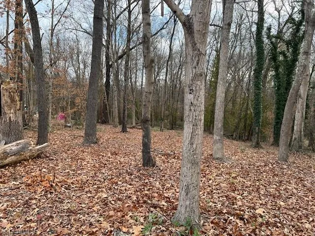 926 Greensboro Street Extension Lexington, NC 27292