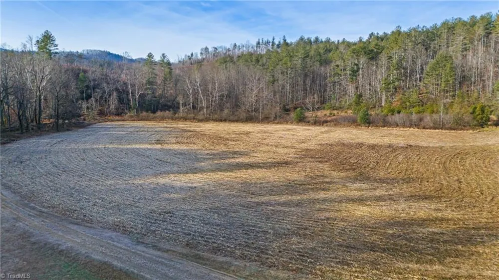 1325 Colvard Road Millers Creek, NC 28651