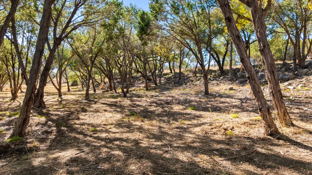 1594 Ranch Road 1320 Johnson City, TX 78636
