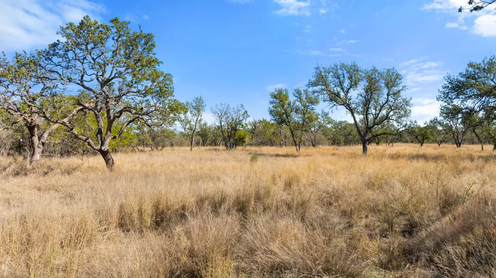 1594 Ranch Road 1320 Johnson City, TX 78636