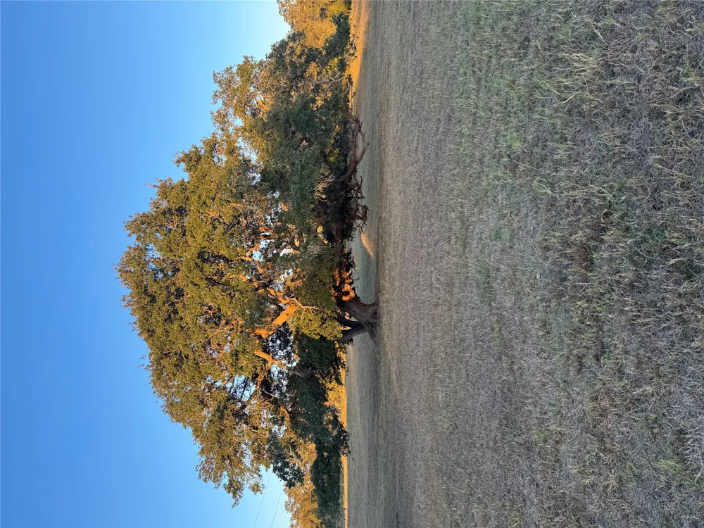 2636 E FM 532 Schulenburg, TX 78956