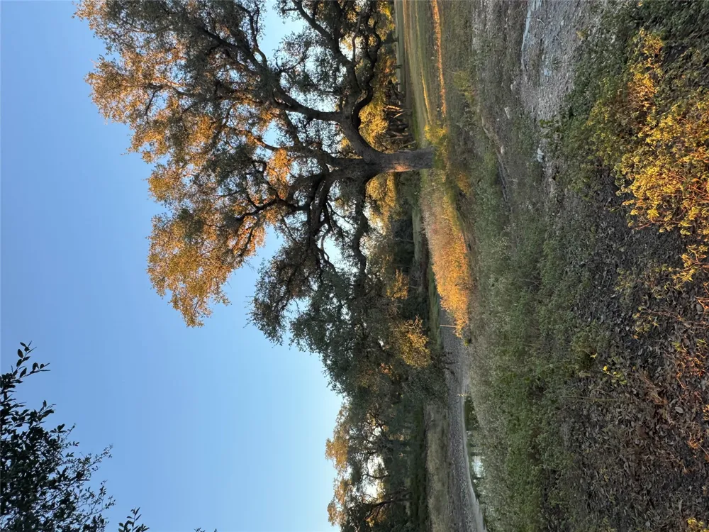 2636 E FM 532 Schulenburg, TX 78956