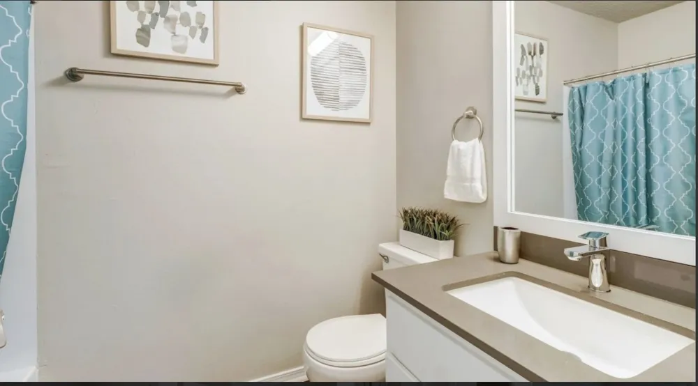 1338 christopher Avenue #1212 Round Rock, TX 78681