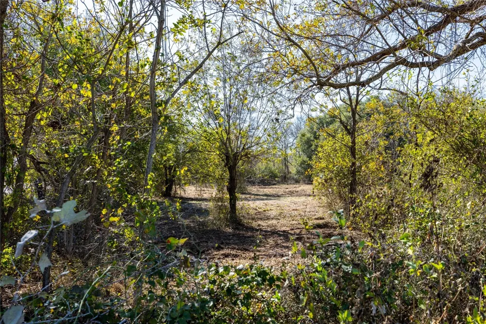 6635 S US HIGHWAY 183 Lockhart, TX 78644