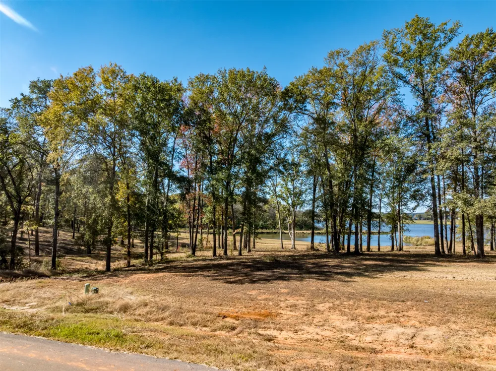 Carolina Drive #Lot 9 Bullard, TX 75757