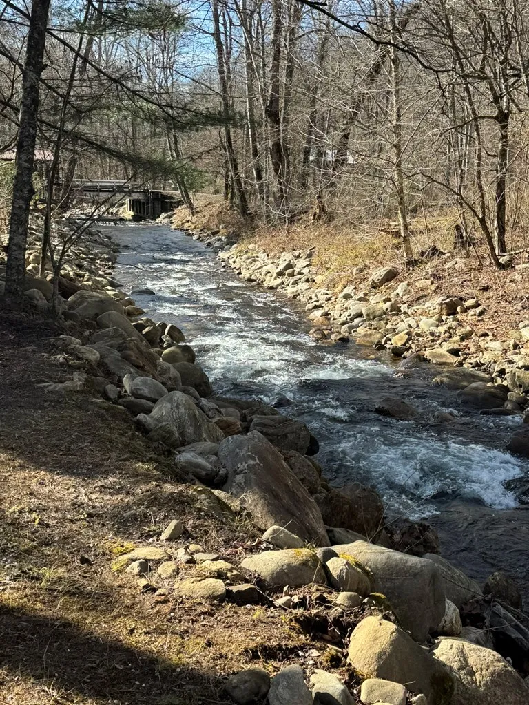 Larspur Lane Cullowhee, NC 28723
