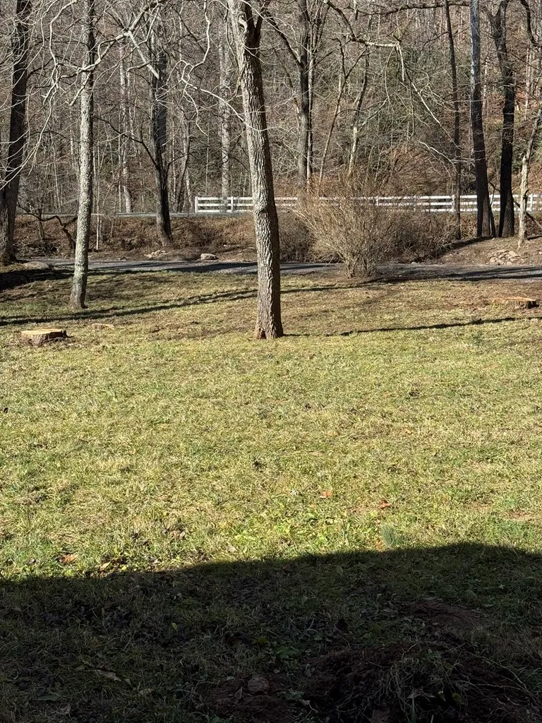 Larspur Lane Cullowhee, NC 28723