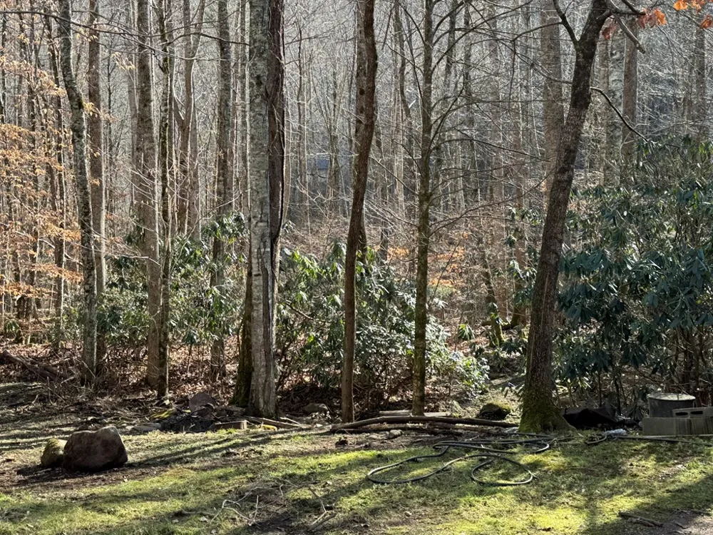 Larspur Lane Cullowhee, NC 28723