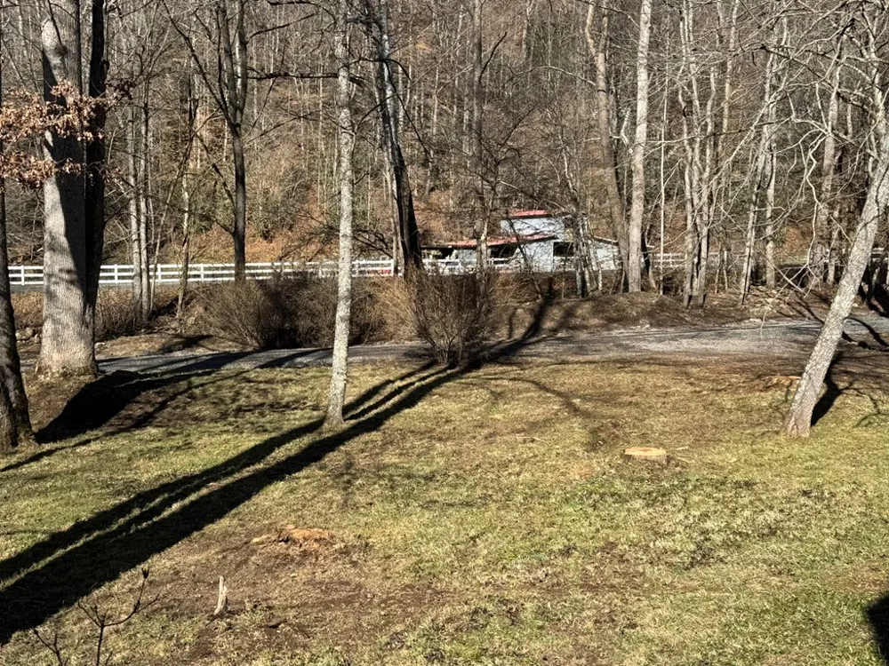 Larspur Lane Cullowhee, NC 28723