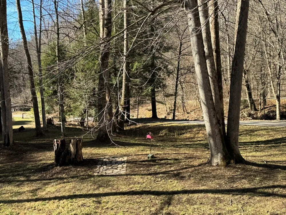 Larspur Lane Cullowhee, NC 28723