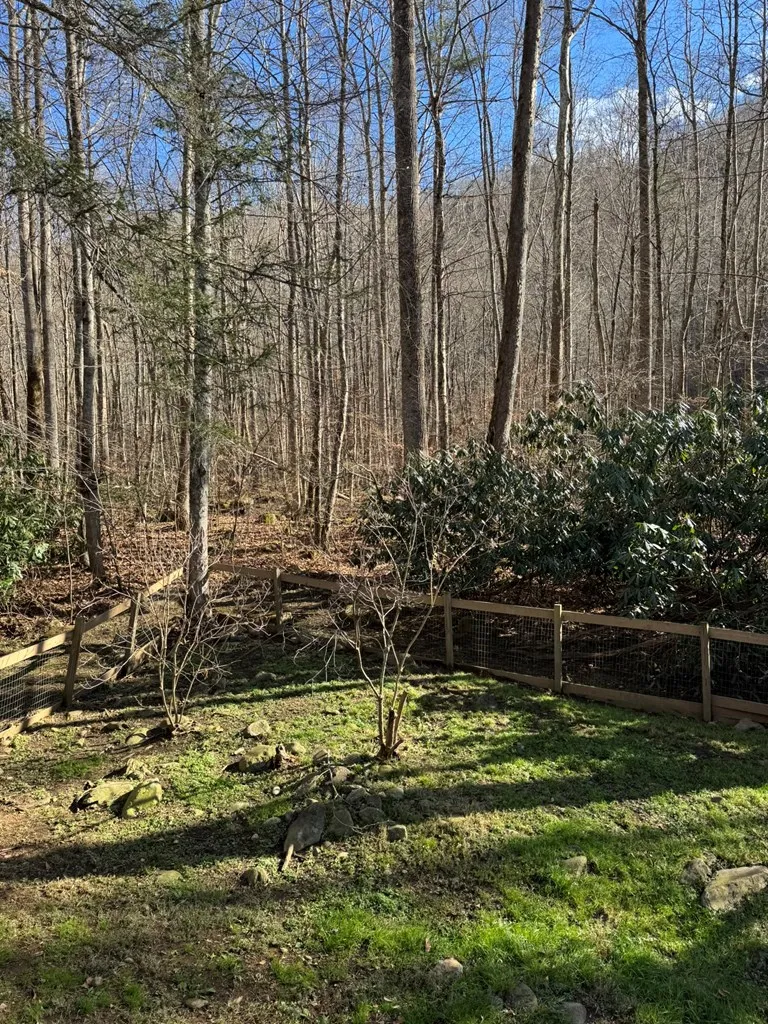 Larspur Lane Cullowhee, NC 28723