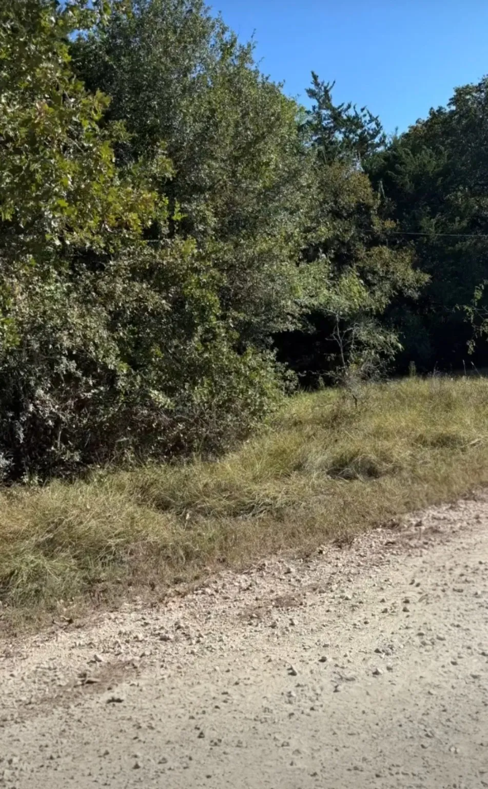NW County Road 3112 Purdon, TX 76679