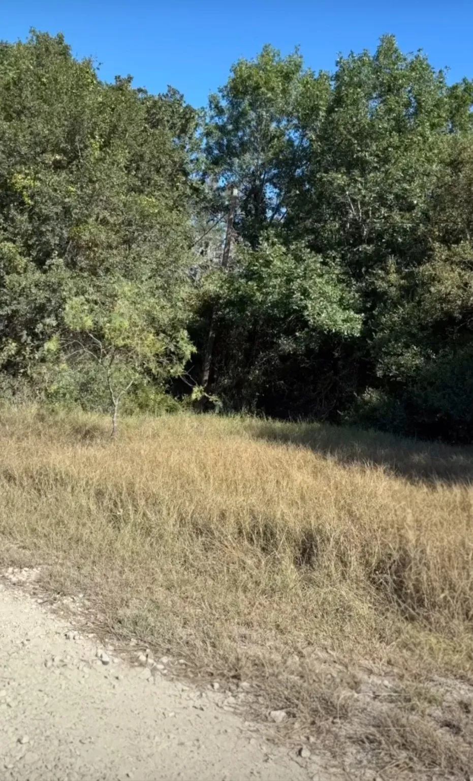 NW County Road 3112 Purdon, TX 76679