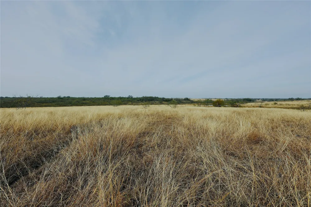 21481 SW County Road 4040 Dawson, TX 76639